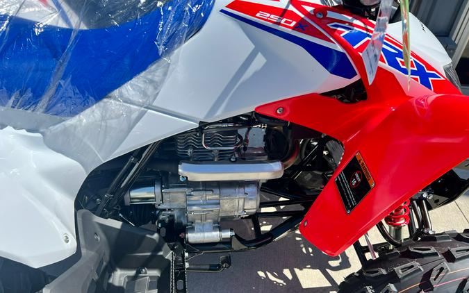 2026 Honda TRX250X