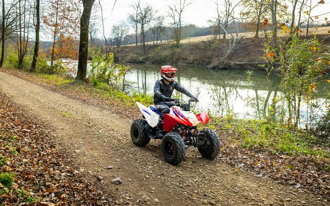 2026 Honda TRX250X