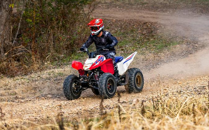 2026 Honda TRX250X