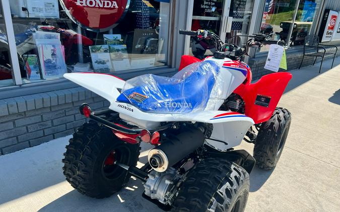 2026 Honda TRX250X