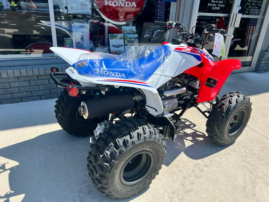 2026 Honda TRX250X