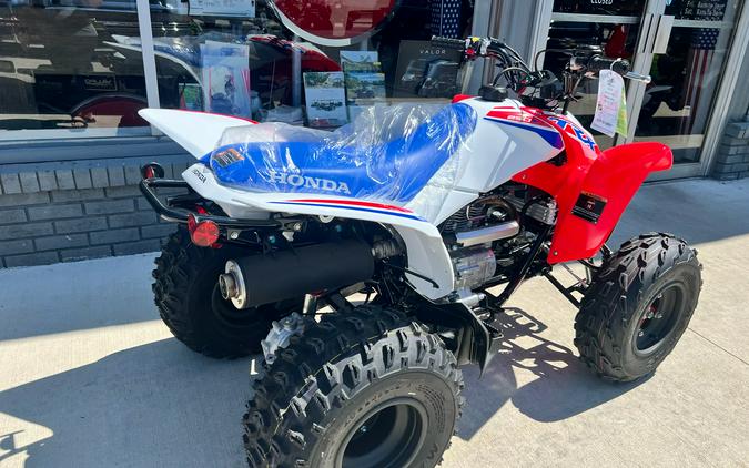 2026 Honda TRX250X