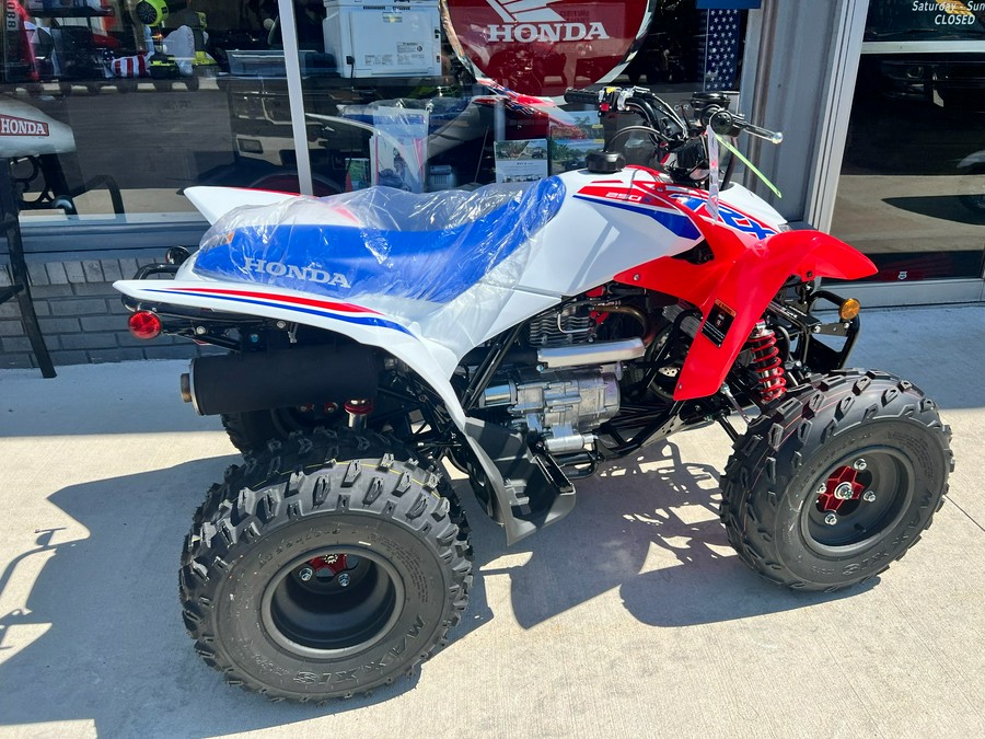 2026 Honda TRX250X