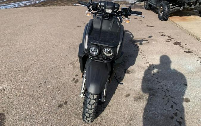 2023 Yamaha Zuma 125