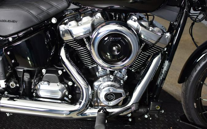 2025 Harley-Davidson Street Bob