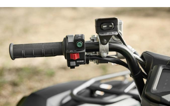 2026 Yamaha Grizzly EPS XT-R