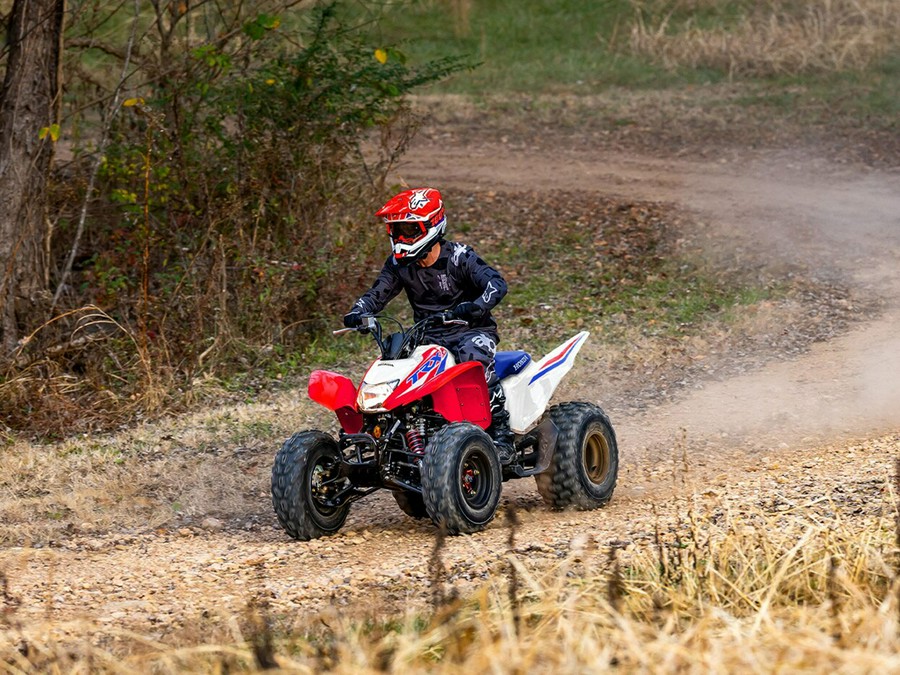 2026 Honda TRX250X