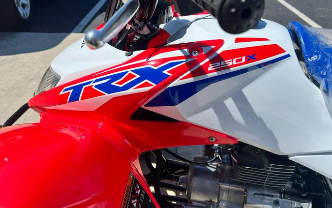 2026 Honda TRX250X