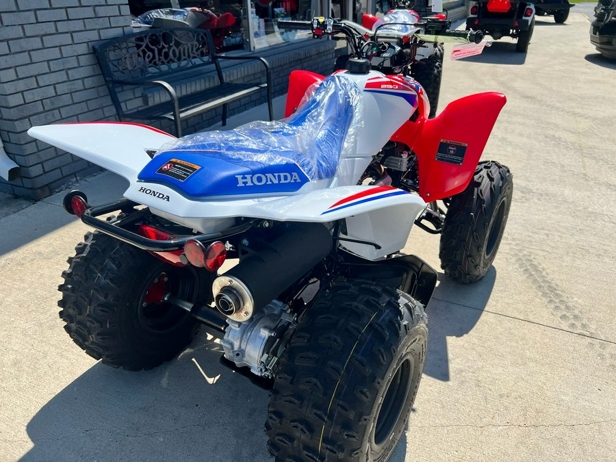 2026 Honda TRX250X