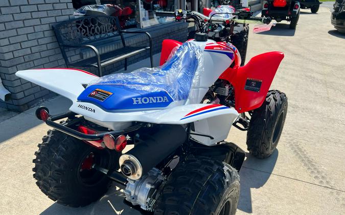 2026 Honda TRX250X