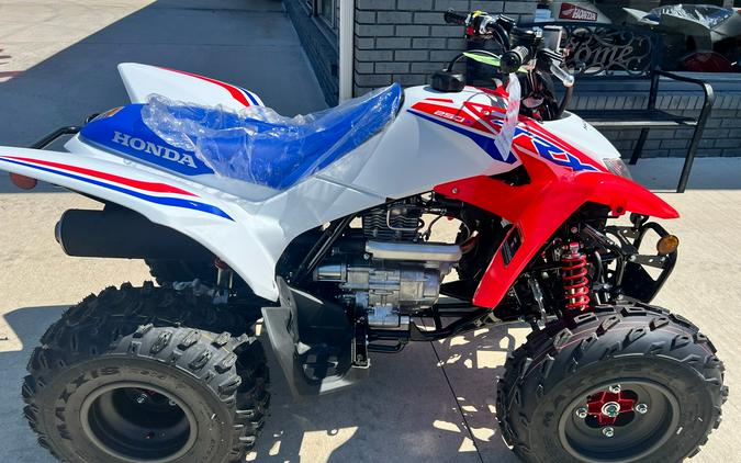 2026 Honda TRX250X