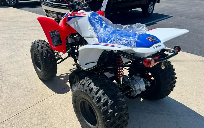 2026 Honda TRX250X