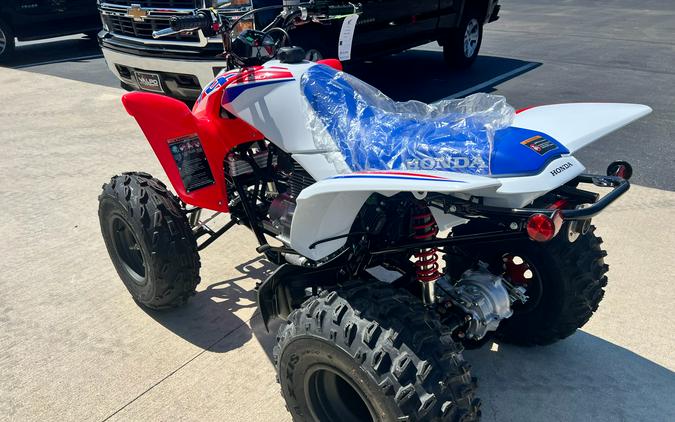 2026 Honda TRX250X