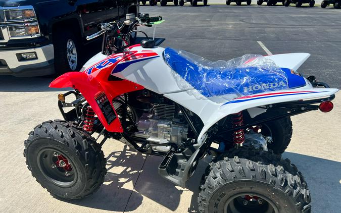 2026 Honda TRX250X