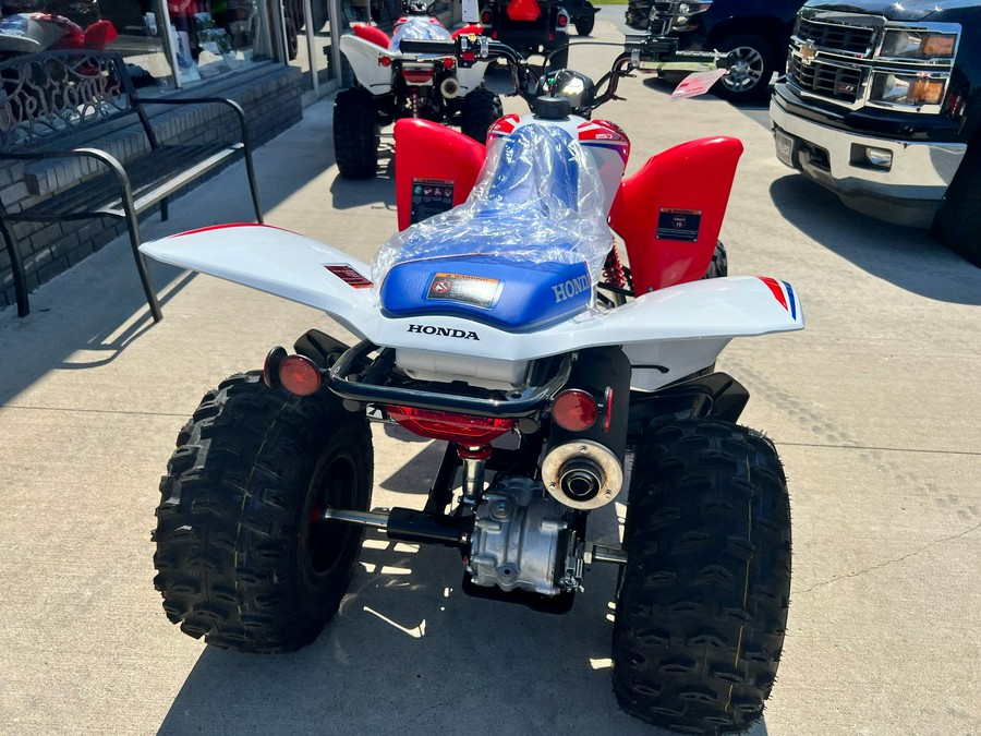 2026 Honda TRX250X