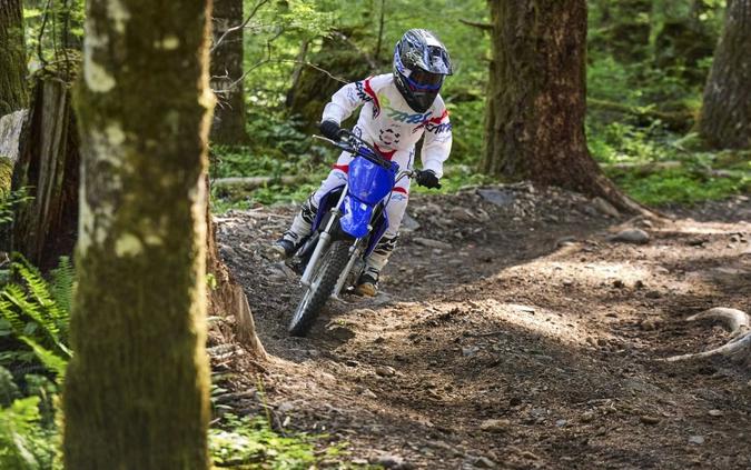 2026 Yamaha TT-R 110E