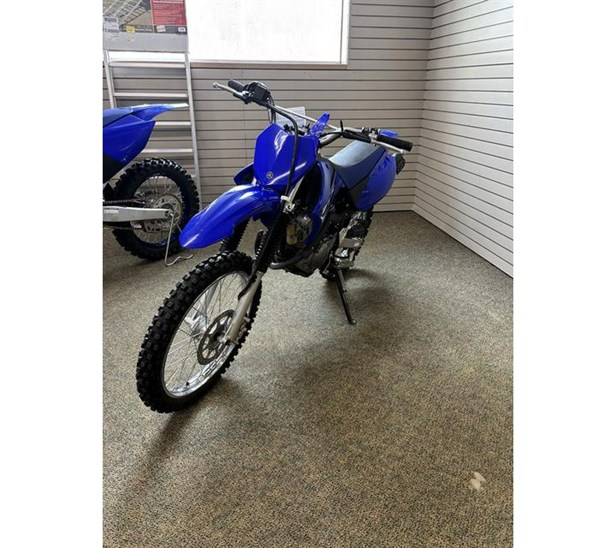 2025 Yamaha TT-R125LE