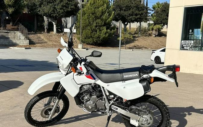 2023 Honda XR650L Review [30th Anniversary Retrospective]