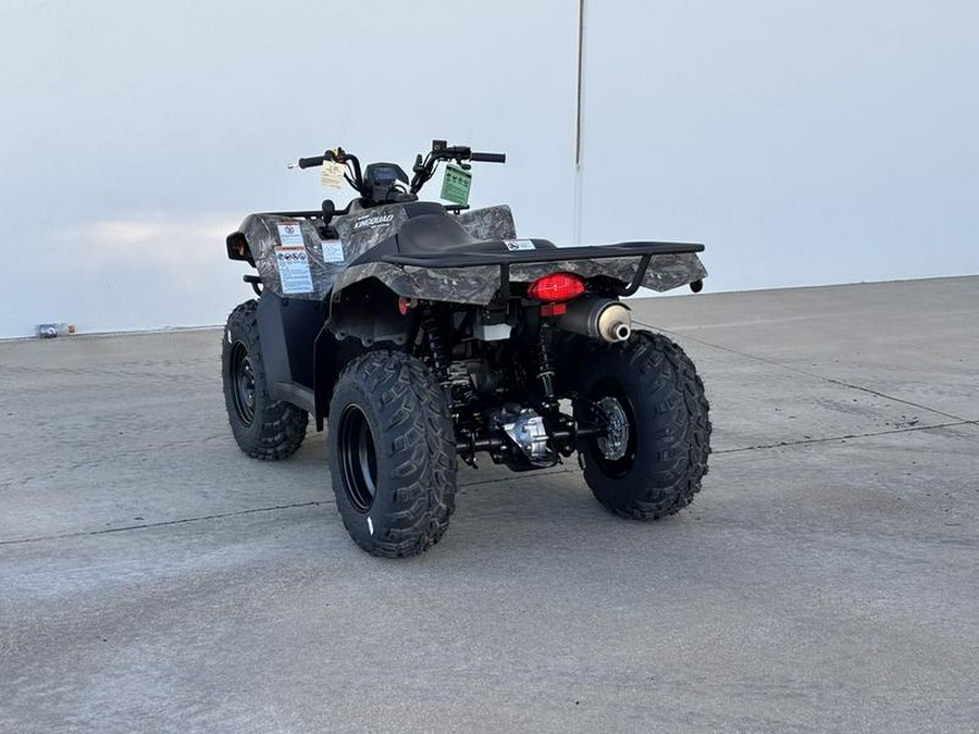 2025 Suzuki LT-A400FCM5