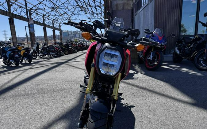 2025 Honda® Grom
