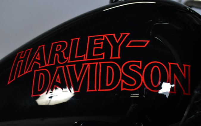 2026 Harley-Davidson Low Rider ST FXLRST