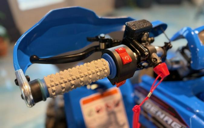 2026 Denago Powersports Trailhawk 10FI