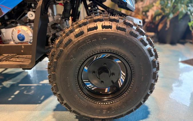 2026 Denago Powersports Trailhawk 10FI