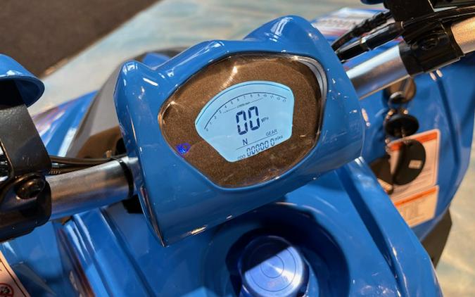 2026 Denago Powersports Trailhawk 10FI