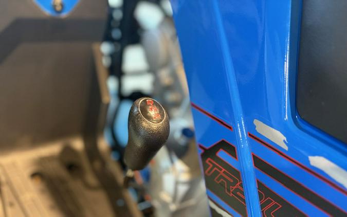 2026 Denago Powersports Trailhawk 10FI