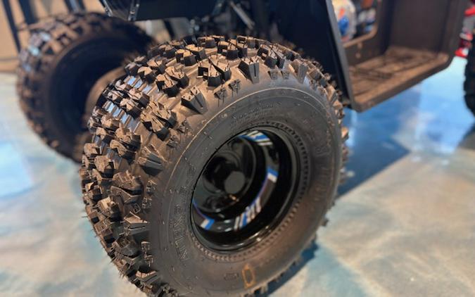 2026 Denago Powersports Trailhawk 10FI