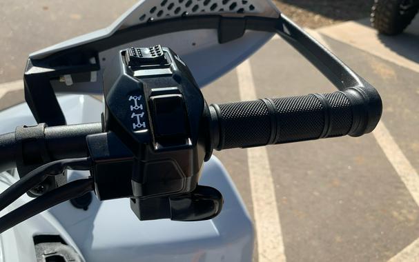 2026 Can-Am Renegade X xc 1000R