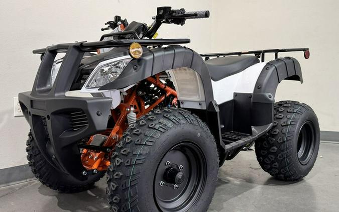 2026 Kayo Bull 150 EFI