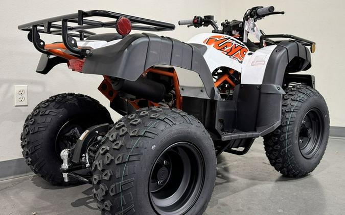 2026 Kayo Bull 150 EFI