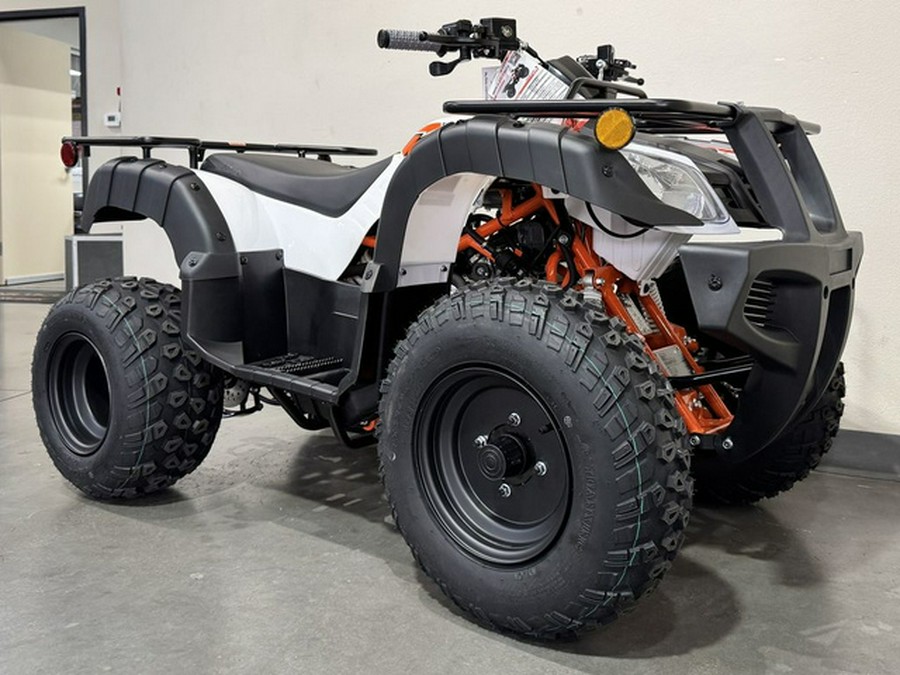 2026 Kayo Bull 150 EFI