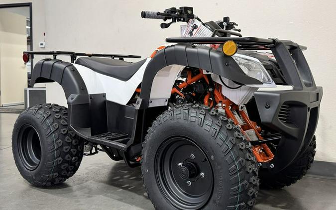 2026 Kayo Bull 150 EFI