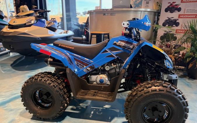 2026 Denago Powersports Trailhawk 10FI