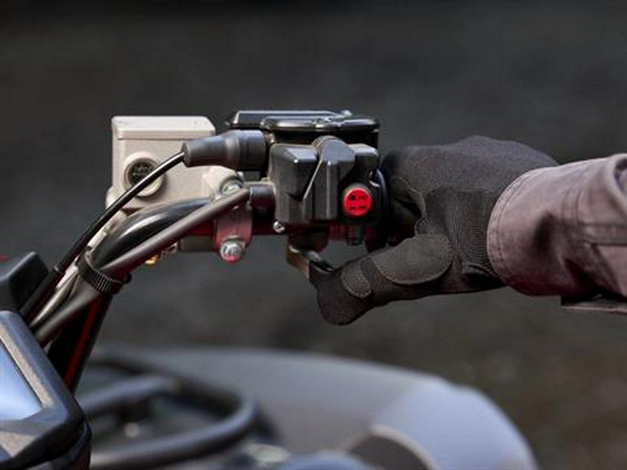 2025 Yamaha Grizzly EPS