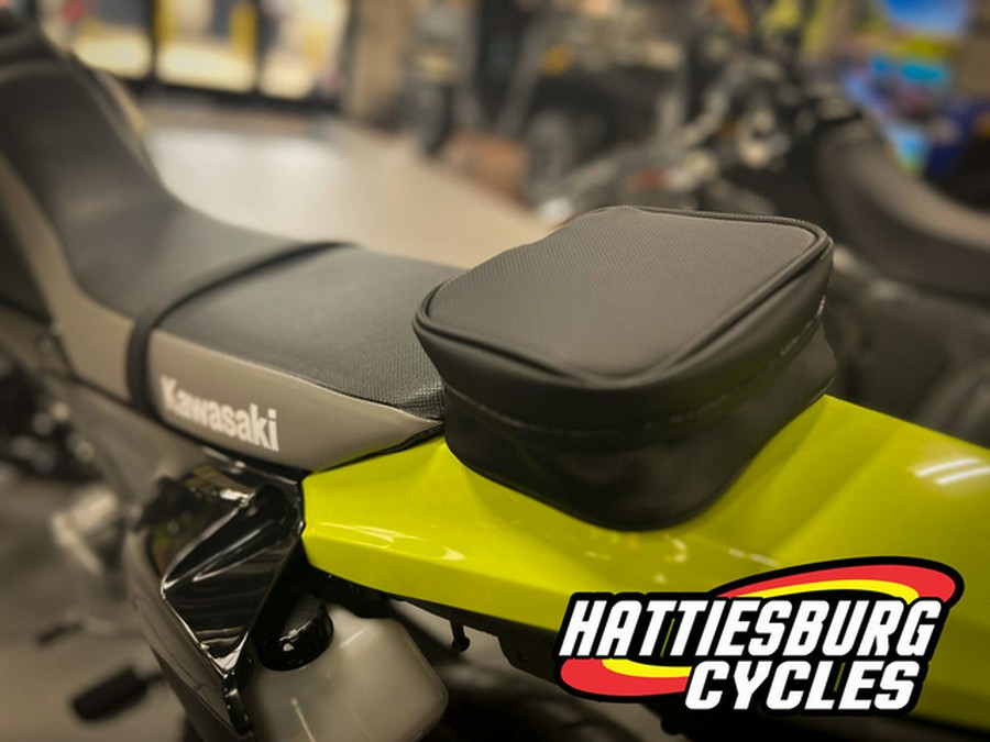 2026 Kawasaki KLX300SM