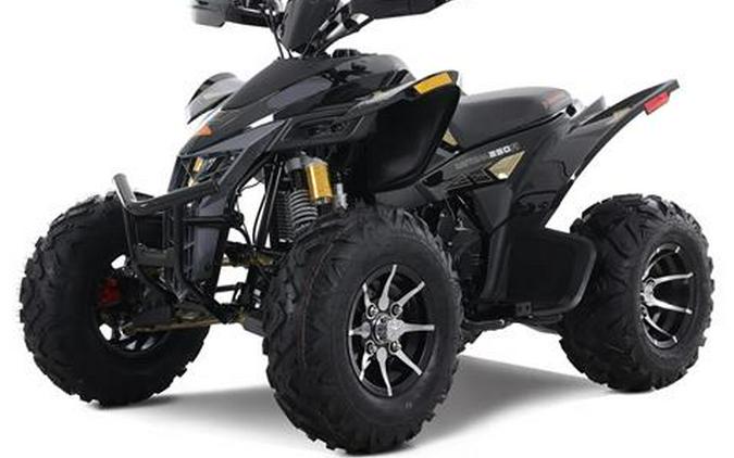2025 Denago Powersports Daytona 250FI