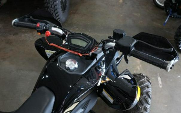 2025 Denago Powersports Daytona 250FI