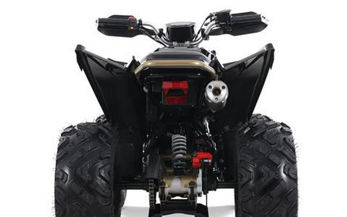 2025 Denago Powersports Daytona 250FI
