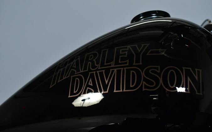 2024 Harley-Davidson Low Rider S