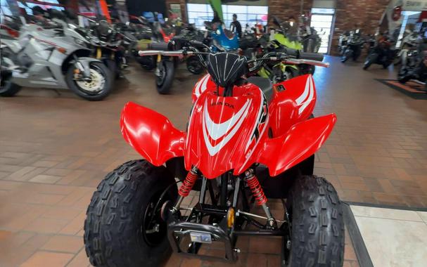 2026 Honda TRX90X