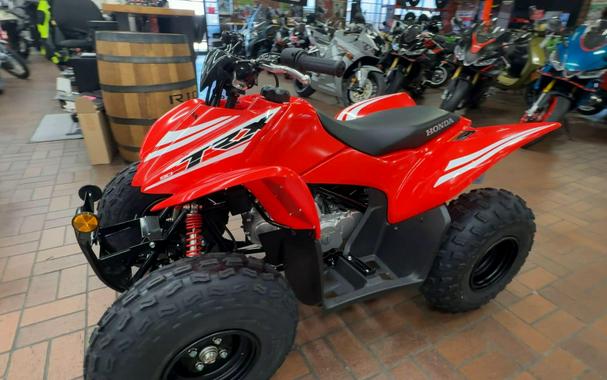 2026 Honda TRX90X