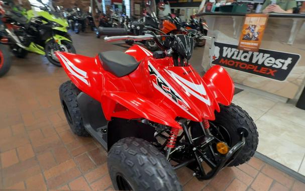 2026 Honda TRX90X