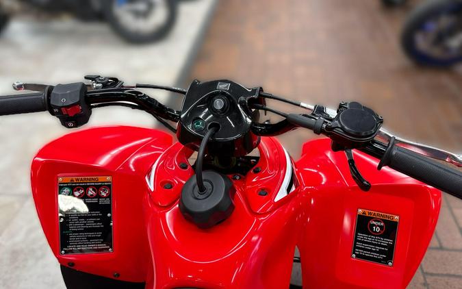 2026 Honda TRX90X