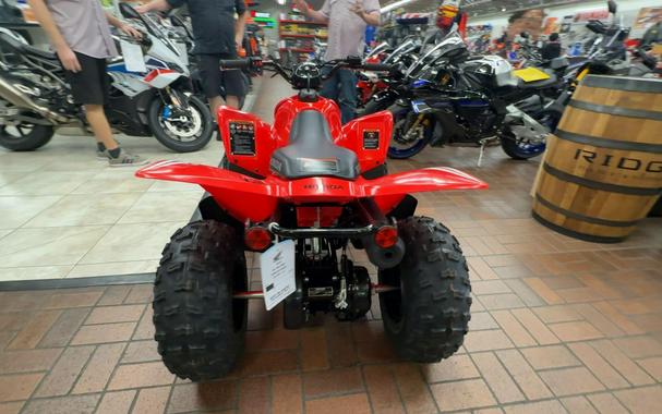2026 Honda TRX90X