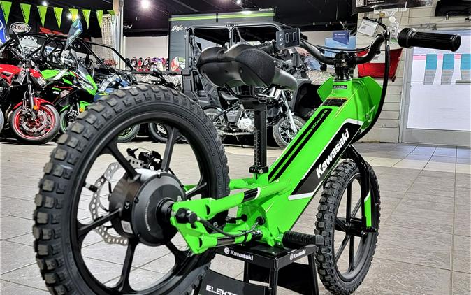 2023 Kawasaki Elektrode