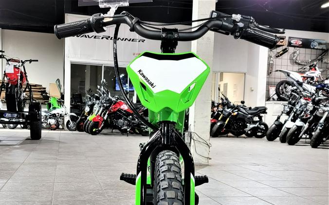 2023 Kawasaki Elektrode