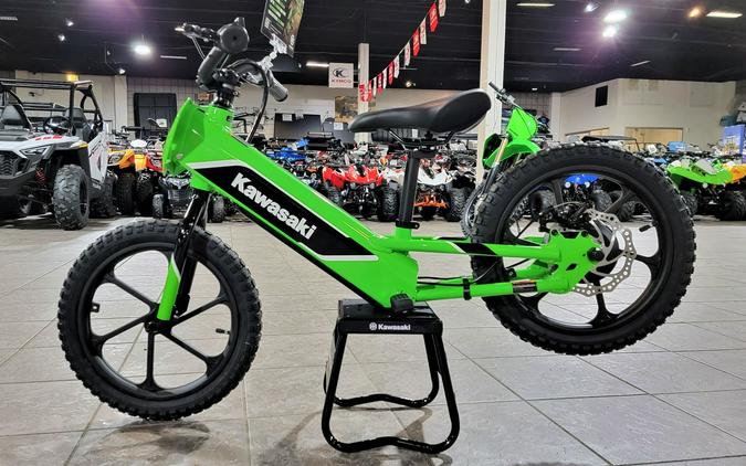 2023 Kawasaki Elektrode